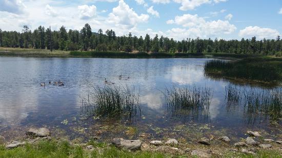 White Mountain Nature Center